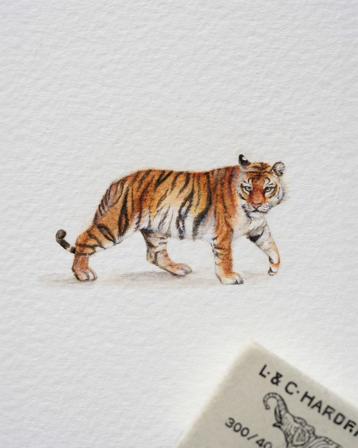Tiger watercolor miniature painting print - Image 2