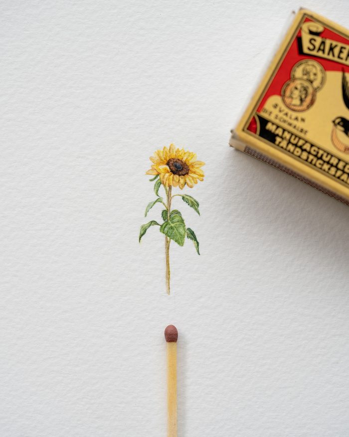 Sunflower watercolor miniature painting print - Image 2
